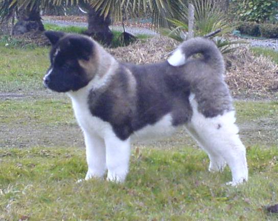 Photos